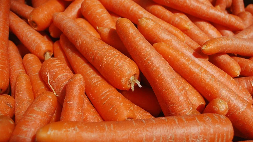 морковь для приготовления салата