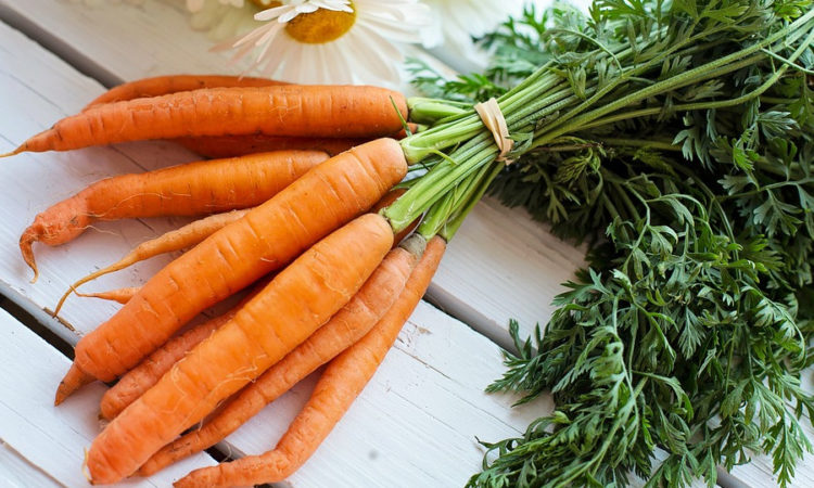 Салат из моркови всегда имеет в составе морковь, как основной ингредиент