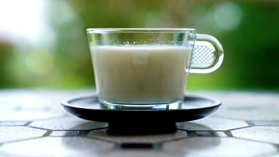 Горячее молоко с медом и желтком - питательный и вкусный напиток