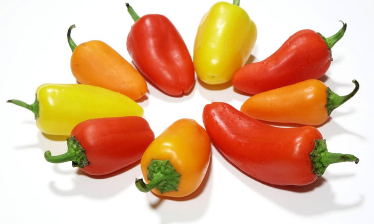Перец, паприка, болгарский перец - все это названия одного овоща, полезного и вкусного