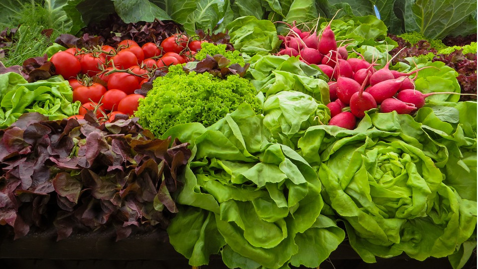 Полезные салаты из свежих ранних овощей и зелени помогут зарядиться витаминами и подготовить организм к зиме