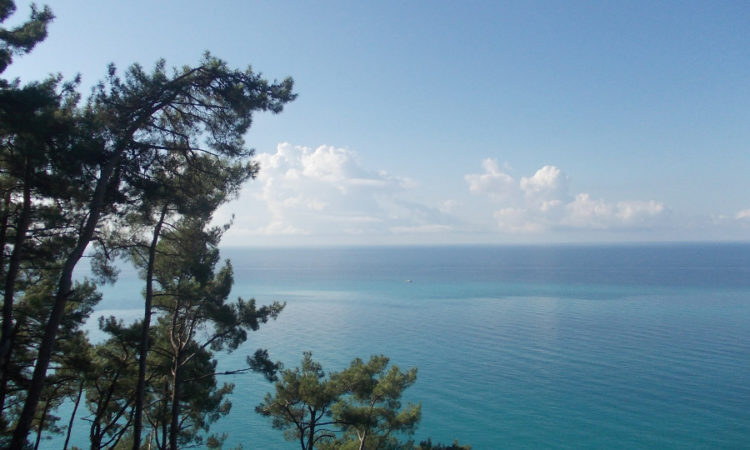 Абхазия - страна гор, озер и водопадов. Красивые места, теплое море, пляж, отличный климат
